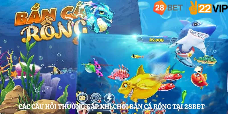 Các Câu Hỏi Thường Gặp Khi Chơi Bắn Cá Rồng Tại 28Bet