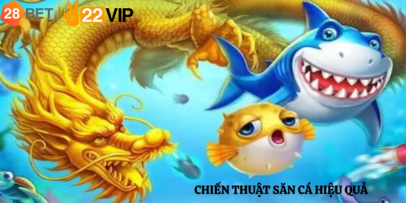 Chiến Thuật Săn Cá Hiệu Quả